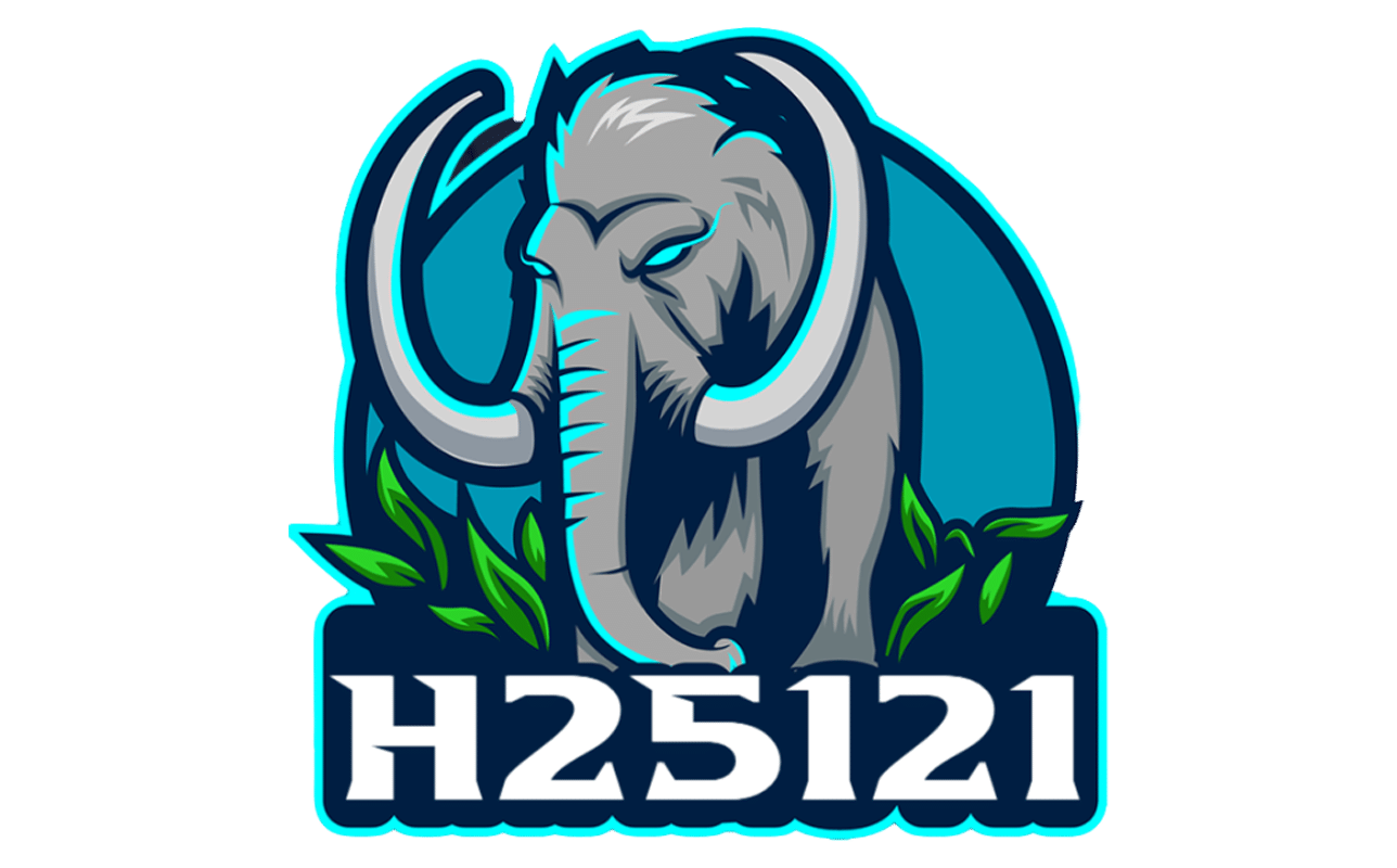 h25121.net-logo
